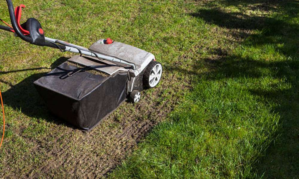 What To Do After Lawn Aeration