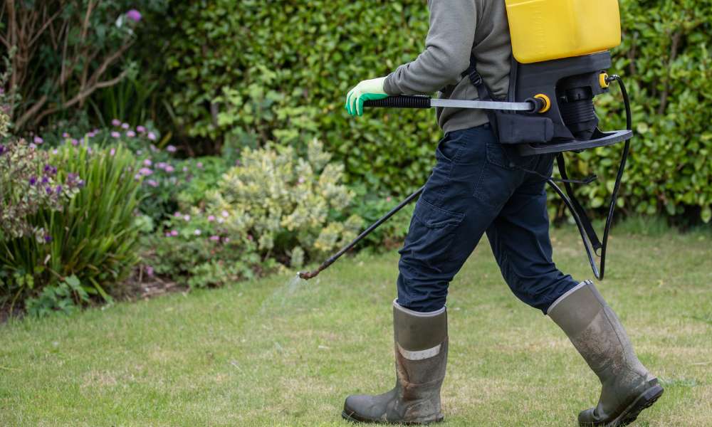 How To Use Weed Killer On Lawn